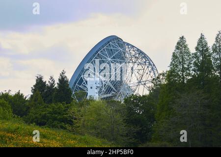 Lovell radio Telescope au-dessus des arbres à Jodrell Bank Banque D'Images