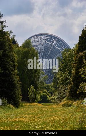 Lovell radio Telescope au-dessus des arbres à Jodrell Bank Banque D'Images