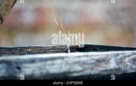 des gouttelettes de pluie sont capturées sur une table d'alimentation d'oiseau en bois et éclabousser vers le haut et vers l'extérieur Banque D'Images