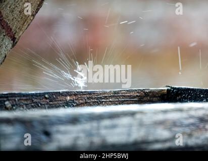 des gouttelettes de pluie sont capturées sur une table d'alimentation d'oiseau en bois et éclabousser vers le haut et vers l'extérieur Banque D'Images