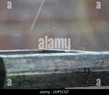 des gouttelettes de pluie sont capturées sur une table d'alimentation d'oiseau en bois et éclabousser vers le haut et vers l'extérieur Banque D'Images