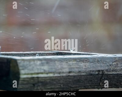 des gouttelettes de pluie sont capturées sur une table d'alimentation d'oiseau en bois et éclabousser vers le haut et vers l'extérieur Banque D'Images