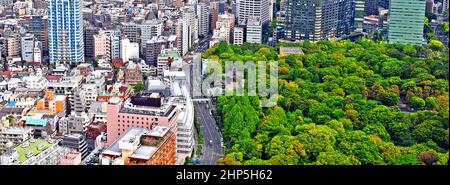 Vue aérienne sur le quartier de Shinjuku à l'ouest et le parc central de Shinjuku, Tokyo, Japon Banque D'Images