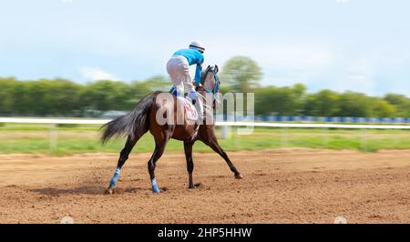 Course galopante en compétition de course. Jockey sur le cheval de course. Sport. Champion. Hippodrome. Equestrian. Derby de vitesse Banque D'Images