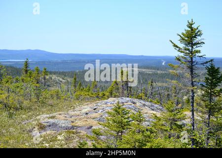 Vue panoramique sur le paysage du parc national Terra Nova contre un ciel bleu clair Banque D'Images