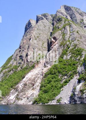 Falaise abrupte le long de la rive de Western Brook Pond avec toboggans et végétation verte Banque D'Images