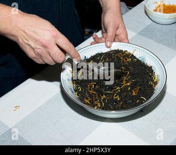 Les mains des femmes remuent le mélange de thé avec une cuillère. Le processus de préparation du thé à partir de thé noir, zeste de citron et d'orange, morceaux de bâtons de cannelle. Santé FO Banque D'Images