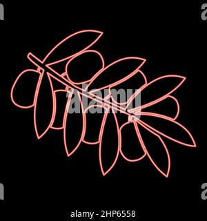 Néon branche olive rouge couleur vecteur illustration image de style plat Illustration de Vecteur