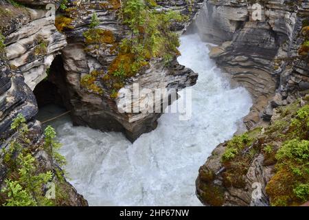 Eau à écoulement rapide au canyon des chutes d'Athabasca, dans le parc national Jasper, en été Banque D'Images