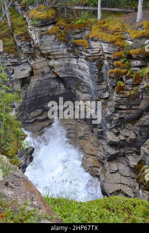 L'eau éclabousse contre les parois hautes du canyon aux chutes Athabasca, dans le parc national Jasper, en été Banque D'Images