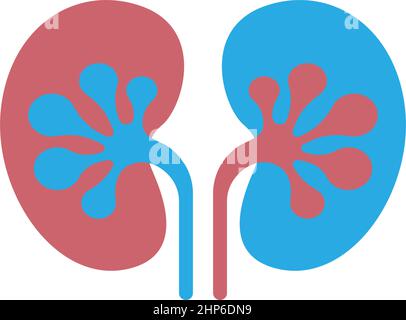 Logo Urologie, logo rein icône modèle healty Illustration de Vecteur