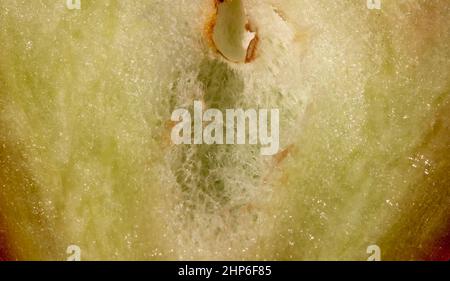 Gros plan sur les pommes Rose (Syzygium jambos) pour le fond Banque D'Images