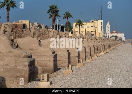 Avenue de Sphinxes à côté du temple de Louxor (Louxor, Egypte). Banque D'Images