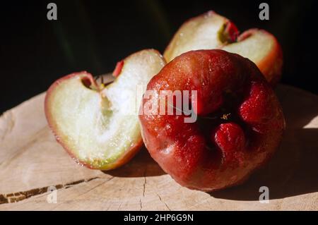 Pommes de rose (Syzygium jambos) sur table en bois avec fond sombre Banque D'Images