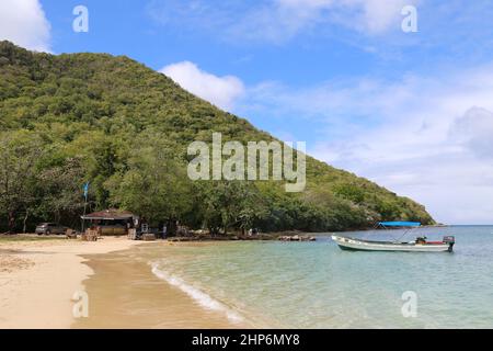 Marie's Fish Shack and Beach Bar, Reduit Beach, Rodney Bay, gros Islet, Sainte-Lucie, Îles du vent, Petites Antilles, Antilles occidentales, Mer des Caraïbes Banque D'Images