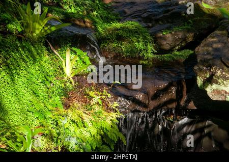 Sydney Australie, petite crique avec de l'eau qui coule au-dessus des rochers au soleil Banque D'Images