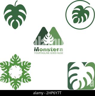 modèle de conception d'illustration vectorielle d'icône de feuille de monstera Illustration de Vecteur