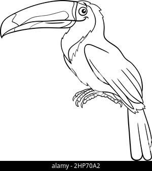 page de livre de coloriage de personnage d'oiseau de dessin animé toucan Illustration de Vecteur