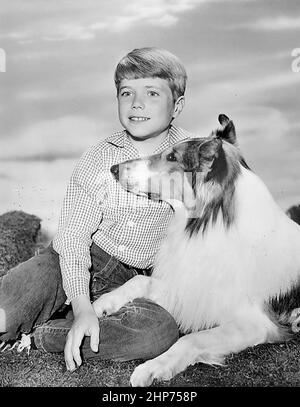 Photo publicitaire de Jon Provost et Lassie de l'émission de télévision Lassie. Communiqué de presse daté du 14 septembre 1962. Banque D'Images