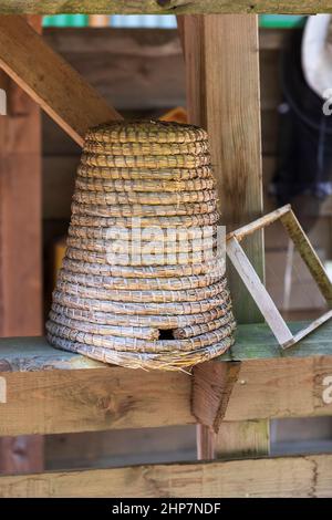 Démonstration d'une ruche en osier pour les abeilles. Il y a un plastique à côté de la ruche. Banque D'Images