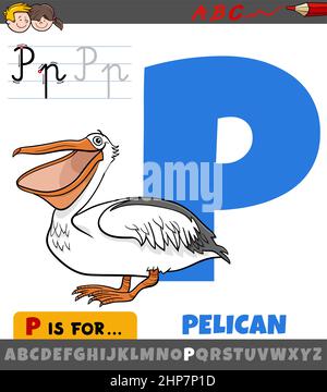 Lettre P de l'alphabet avec un oiseau pélican de dessin animé Illustration de Vecteur