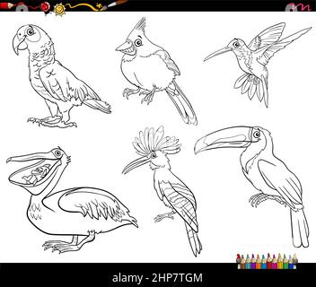 dessin animé oiseaux animal personnages ensemble coloriage livre page Illustration de Vecteur