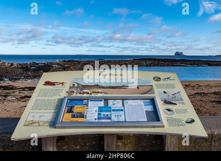 Panneau d'information aux visiteurs avec vue sur Firth of Forth et Bass Rock depuis East Beach, North Berwick, East Lothian, Écosse, Royaume-Uni Banque D'Images