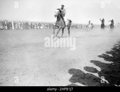 Histoire du Moyen-Orient : rencontre de course (cheval et chameau). Beersheba. Premier cheval en situation: Israël--Beersheba ca. 1940 Banque D'Images