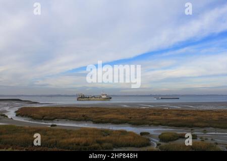 un paysage de la côte hollandaise avec un dragueur de trémies et navire dans la mer westerschelde avec un marais salé en face et un ciel bleu avec des nuages Banque D'Images