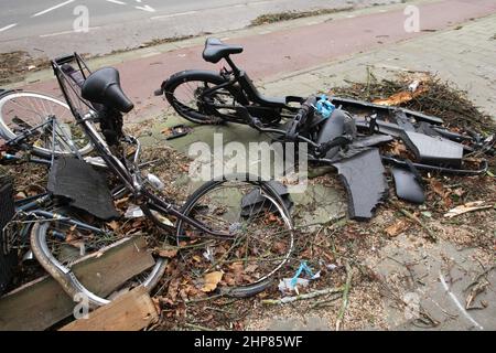 Amsterdam, pays-Bas. 19th févr. 2022. Une vue montre des vélos épatés où un arbre est tombé tuant une personne hier après-midi pendant les vents forts de la tempête Eunice le 19 février 2022 à Amsterdam, pays-Bas. La tempête Eunice a traversé les pays-Bas avec des vents atteignant 130 km/h, tuant quatre personnes étaient par la chute d'arbres. (Photo de Paulo Amorim/Sipa USA) Credit: SIPA USA/Alay Live News Banque D'Images