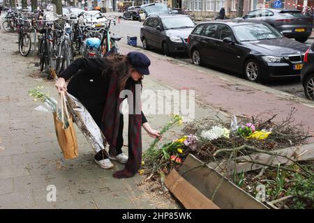 Amsterdam, pays-Bas. 19th févr. 2022. Une jeune femme pose des fleurs où un arbre est tombé tuant une personne hier après-midi pendant les vents forts de la tempête Eunice le 19 février 2022 à Amsterdam, pays-Bas. La tempête Eunice a traversé les pays-Bas avec des vents atteignant 130 km/h, tuant quatre personnes étaient par la chute d'arbres. (Photo de Paulo Amorim/Sipa USA) Credit: SIPA USA/Alay Live News Banque D'Images