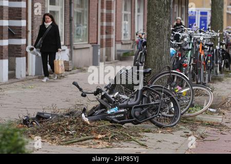 Amsterdam, pays-Bas. 19th févr. 2022. Les gens se promènaient devant les vélos épatés où un arbre est tombé tuant une personne hier après-midi pendant les vents forts de la tempête Eunice le 19 février 2022 à Amsterdam, pays-Bas. La tempête Eunice a traversé les pays-Bas avec des vents atteignant 130 km/h, tuant quatre personnes étaient par la chute d'arbres. (Photo de Paulo Amorim/Sipa USA) Credit: SIPA USA/Alay Live News Banque D'Images