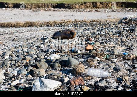 Problème écologique. Dauphin mort sur la rive avec des ordures Banque D'Images