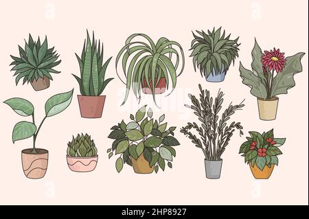 Ensemble de plantes de maison en pot Illustration de Vecteur