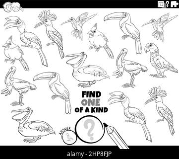 un jeu d'un genre avec la page de livre de coloriage d'oiseaux de bande dessinée Illustration de Vecteur