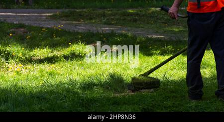 entretien du jardin. coupe de l'herbe verte avec l'équipement. utilisez l'outil adapté à la tâche extérieure. entretien de la cour en été Banque D'Images