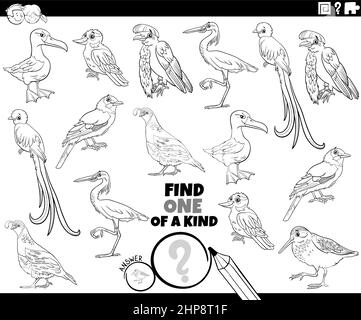 un jeu d'un genre avec la page de livre de coloriage d'oiseaux de bande dessinée Illustration de Vecteur