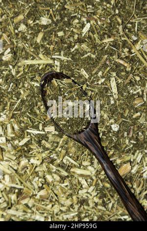 Artemisia annua, bois de millepertuis, Banque D'Images