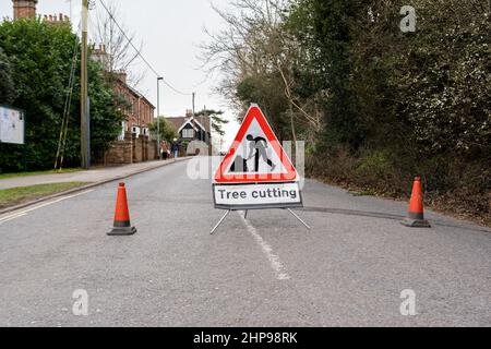 Panneau de sécurité pour couper les arbres et cônes orange bloquant la circulation afin d'éloigner le grand public de la zone de danger des chutes de branches et de mach Banque D'Images