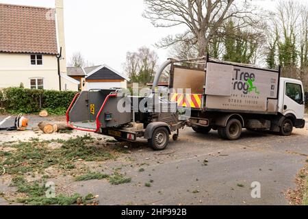 Woodbridge Suffolk UK février 19 2022: Les chirurgiens d'arbres effectuant des travaux d'urgence après une tempête extrême ont causé des dommages à un grand arbre endommageant une maison Banque D'Images