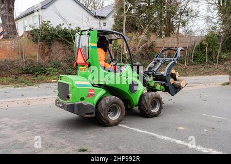 Woodbridge Suffolk UK février 19 2022: Les chirurgiens d'arbres effectuant des travaux d'urgence après une tempête extrême ont causé des dommages à un grand arbre endommageant une maison Banque D'Images