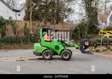 Woodbridge Suffolk UK février 19 2022: Les chirurgiens d'arbres effectuant des travaux d'urgence après une tempête extrême ont causé des dommages à un grand arbre endommageant une maison Banque D'Images