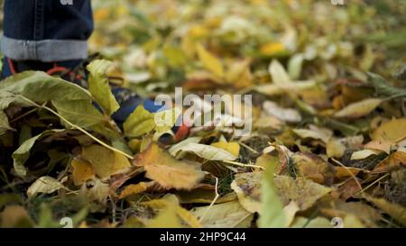 Gros plan sur les jambes d'un homme qui donne des coups de pied aux feuilles d'automne dans le parc.feuilles jaunes fléchées par la jambe d'un homme dans les baskets. Banque D'Images