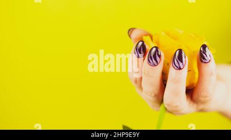 Main de femme adulte avec fleur jaune. Crop personne méconnaissable avec manucure tenant gerbera sur fond jaune Banque D'Images