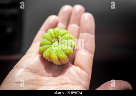 Gros plan macro de main tenant le thé vert matcha ou la fleur de melon forme de gâteau de riz mochi rempli dessert japonais comme dessert de collation Banque D'Images