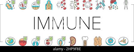 Système immunitaire maladie et traiter icônes vecteur . Illustration de Vecteur