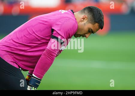 Grenade, Espagne. 19th févr. 2022. Sergio Asenjo vu pendant le match de la Liga Santander 2021/2022 entre Granada CF et Villarreal CF au stade Nuevo Los Carmenes.final Score Granada CF 1:4 CF Villarreal CF. Crédit : SOPA Images Limited/Alamy Live News Banque D'Images