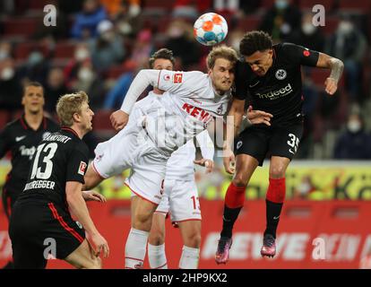 Cologne, Allemagne. 19th févr. 2022. Bundesliga, match 23, 1. FC Köln - Eintracht Francfort, Sebastian Andersson (Koeln), Tuta (Francfort) bataille pour le ballon. Crédit : Juergen Schwarz/Alay Live News Banque D'Images