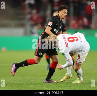 Cologne, Allemagne. 19th févr. 2022. Bundesliga, match 23, 1. FC Köln - Eintracht Frankfurt, Tuta (Francfort), Sebastian Andersson (Koeln) bataille pour le ballon. Crédit : Juergen Schwarz/Alay Live News Banque D'Images