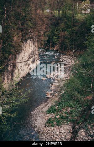 Une rivière qui traverse une forêt Banque D'Images